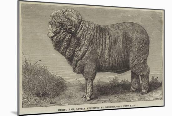 Merino Ram, Lately Exhibited at Dresden-null-Mounted Giclee Print