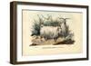 Merino Sheep, 1863-79-Raimundo Petraroja-Framed Giclee Print