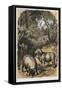 Merino Sheep, C1860-null-Framed Stretched Canvas