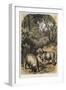 Merino Sheep, C1860-null-Framed Giclee Print