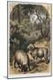 Merino Sheep, C1860-null-Mounted Giclee Print