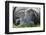 Merino Sheeps, Lamb, Dam, Meadow, Lie-Ronald Wittek-Framed Photographic Print