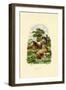 Merinosheep, 1833-39-null-Framed Giclee Print