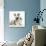 Merle Border Collie Puppies-Mark Taylor-Photographic Print displayed on a wall