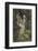 Merlin is Spellbound by His Lover Nimue-Eleanor Fortescue Brickdale-Framed Photographic Print