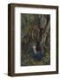 Merlin Reveals the Secrets of His Magic to Vivien Who Promptly Deserts Him-Eleanor Fortescue Brickdale-Framed Photographic Print