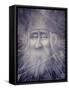 Merlin Turned to Stone-Wayne Anderson-Framed Stretched Canvas