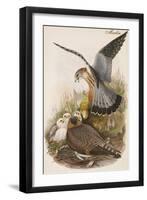 Merlin-John Gould-Framed Art Print