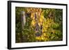 Merlot Grapes at Pernod Ricard's Helan Mountain Winery, Ningxia, China-Janis Miglavs-Framed Photographic Print