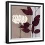 Merlot Inspiration-Ivo-Framed Art Print