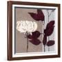 Merlot Inspiration-Ivo-Framed Art Print