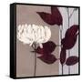 Merlot Inspiration-Ivo-Framed Stretched Canvas