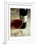 Merlot-Steve Ash-Framed Giclee Print