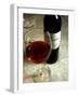 Merlot-Steve Ash-Framed Giclee Print