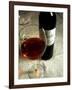 Merlot-Steve Ash-Framed Giclee Print