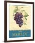 Merlot-Pamela Gladding-Framed Art Print