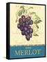 Merlot-Pamela Gladding-Framed Stretched Canvas