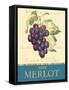 Merlot-Pamela Gladding-Framed Stretched Canvas