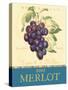 Merlot-Pamela Gladding-Stretched Canvas