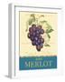 Merlot-Pamela Gladding-Framed Art Print