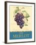 Merlot-Pamela Gladding-Framed Art Print