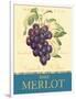 Merlot-Pamela Gladding-Framed Art Print