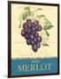 Merlot-Pamela Gladding-Framed Art Print