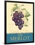 Merlot-Pamela Gladding-Framed Art Print