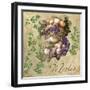 Merlot-Mindy Sommers-Framed Giclee Print