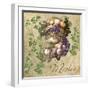 Merlot-Mindy Sommers-Framed Giclee Print