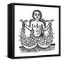 Mermaid, 1520-null-Framed Stretched Canvas