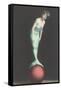 Mermaid Balanced on Ball-null-Framed Stretched Canvas