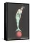 Mermaid Balanced on Ball-null-Framed Stretched Canvas