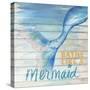 Mermaid Bath I-Elizabeth Medley-Stretched Canvas