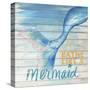 Mermaid Bath I-Elizabeth Medley-Stretched Canvas