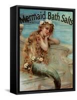 Mermaid Bathsalts-null-Framed Stretched Canvas