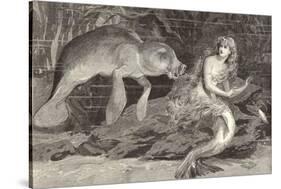 Mermaid Compared with the Manatee at the Zoological Gardens London-null-Stretched Canvas