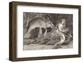 Mermaid Compared with the Manatee at the Zoological Gardens London-null-Framed Photographic Print