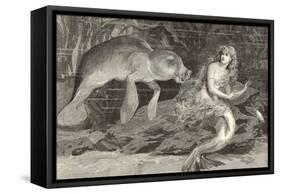 Mermaid Compared with the Manatee at the Zoological Gardens London-null-Framed Stretched Canvas