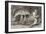 Mermaid Compared with the Manatee at the Zoological Gardens London-null-Framed Photographic Print