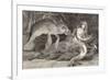 Mermaid Compared with the Manatee at the Zoological Gardens London-null-Framed Photographic Print