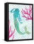 Mermaid Friends II-null-Framed Stretched Canvas