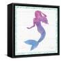 Mermaid Friends III-null-Framed Stretched Canvas