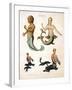 Mermaid, from Encyclopaedia Londinensis, 1817-J. Pass-Framed Giclee Print