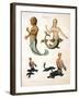 Mermaid, from Encyclopaedia Londinensis, 1817-J. Pass-Framed Giclee Print