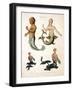 Mermaid, from Encyclopaedia Londinensis, 1817-J. Pass-Framed Giclee Print