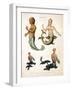 Mermaid, from Encyclopaedia Londinensis, 1817-J. Pass-Framed Giclee Print