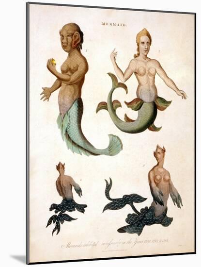 Mermaid, from Encyclopaedia Londinensis, 1817-J. Pass-Mounted Giclee Print