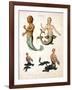 Mermaid, from Encyclopaedia Londinensis, 1817-J. Pass-Framed Giclee Print