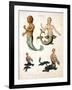 Mermaid, from Encyclopaedia Londinensis, 1817-J. Pass-Framed Giclee Print